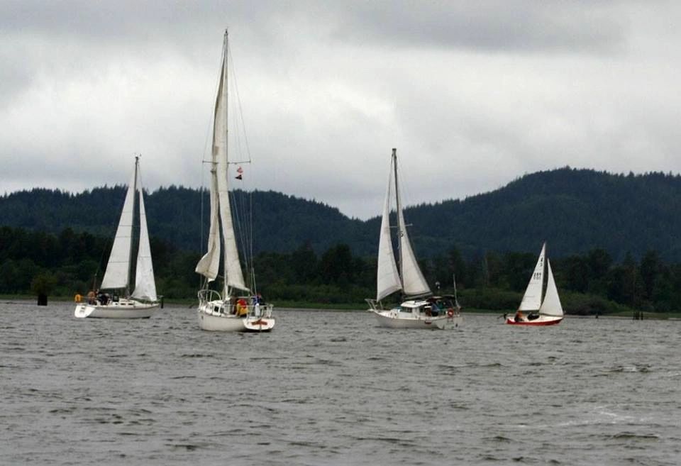 Colorful spinnaker sails flying during the race